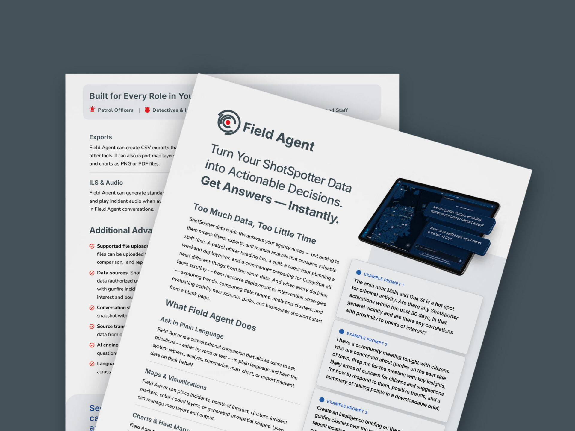 SafetySmart Field Agent Datasheet