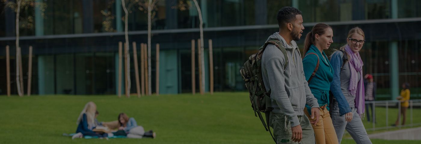 Weapons Detection Systems for Higher Education Schools