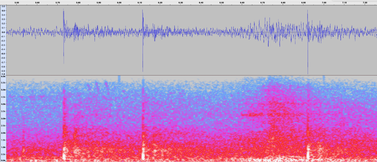 Determining the Source Location of Gunshots From Digital Recordings