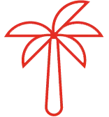 a palm tree with a red ribbon around it