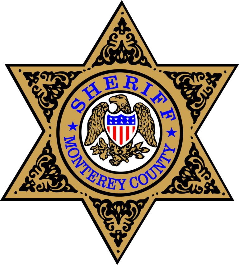 a sheriff badge with an eagle on it