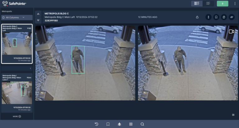 SafePointe weapons detection
