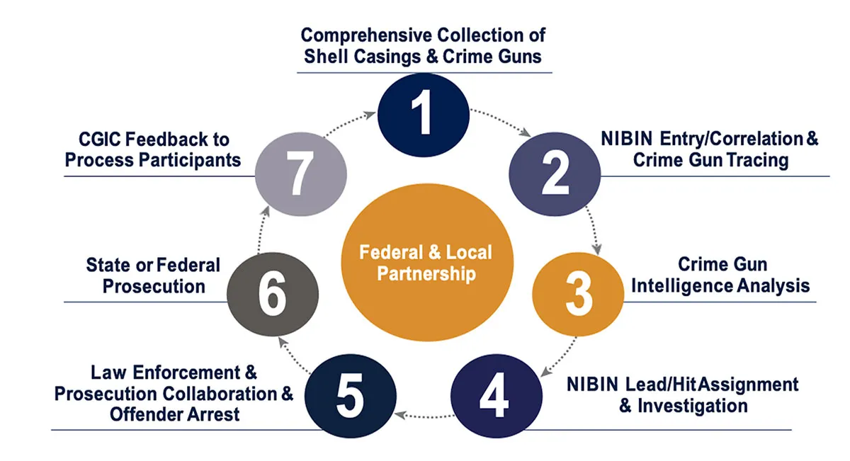 a circular diagram showing the steps to a federal and local partner