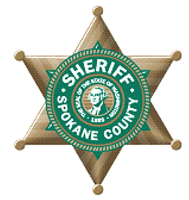 a sheriff badge is shown on a white background