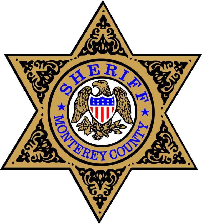 a sheriff badge with an eagle on it