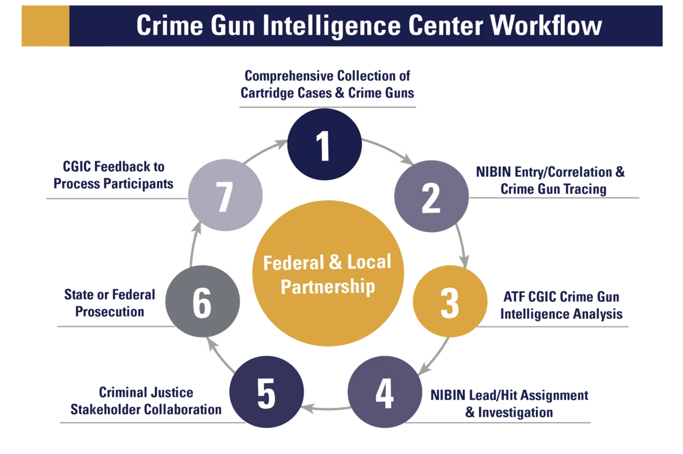 CGIC Work Flow (7-Step Process) sourced from Crime Gun Intel Centers