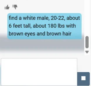Screenshot of CrimeTracer's AI Chatbot with a search example.